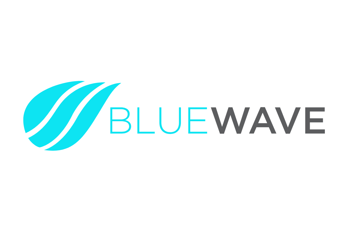 Recruitment, Staffing, Headhunting Agency  BlueWave Resource Partners -  Orlando, Florida